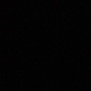 Meet your Posher, Will